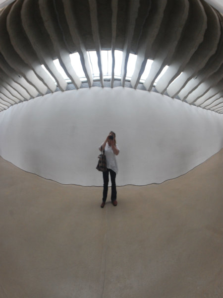 Reflected In Vital Sculture