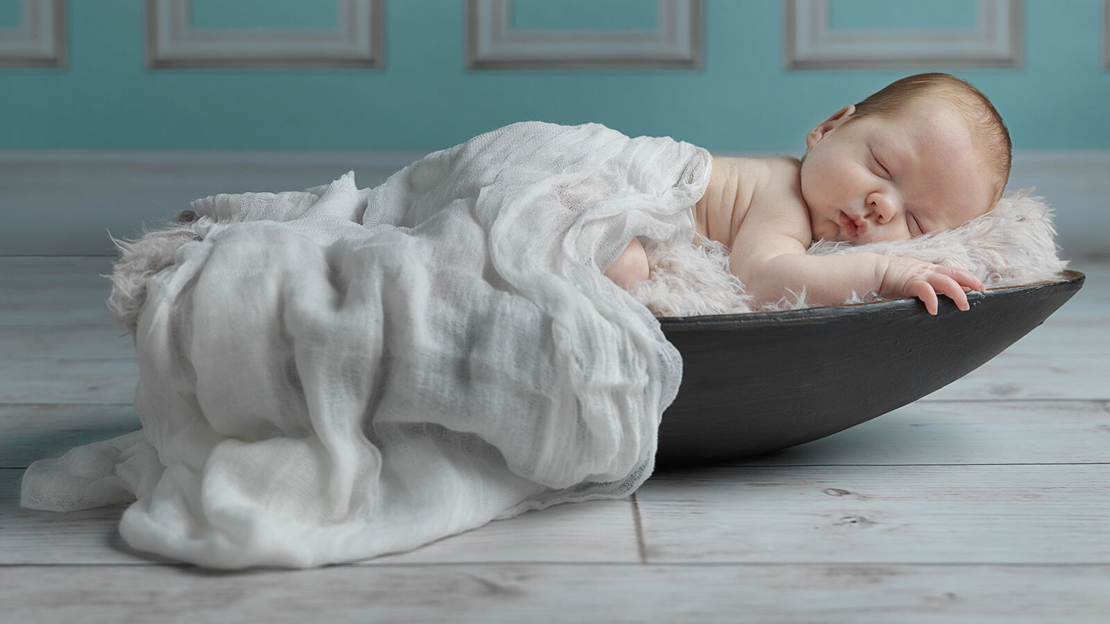 Highly Commended - New Arrival - Haydn Bartlett