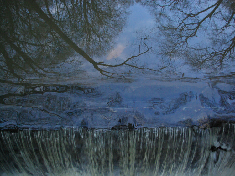 Warterfall With Reflected Tree