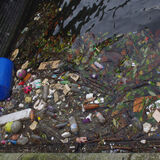 16 Points - A Rubbish Photo - Paul Welch