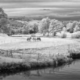 17 Points - Brearley Flats - Peter Coulson