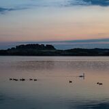 17 Points - Rutland Water Evening Mood - John Butterfield