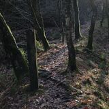 17 Points - Towards The Light - Ken Peel