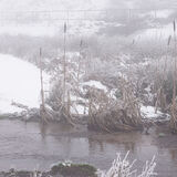 18 Points - Bullrushes In The Mist - Mike Bentley