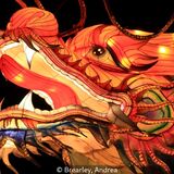 18 Points - Dragon Alight - Andrea Brearley