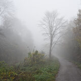 18 Points - Spen Valley Greenway - Ray Spencer