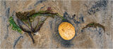 18 Points - Found On The Beach - Mike Bentley