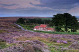 18 Points - Heather On The Moors - Philip Haigh