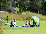 18 Points - Impressionism In The Park - Patricia Morley