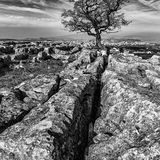 Score 19 (Commended) - "Surviving Amongst The Cracks" - Matthew Brooks