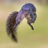 19 Points - Highly Commended - One Giant Leap - Haydn Bartlett
