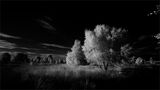 19 Points - Evening Light - Bryan Backhouse