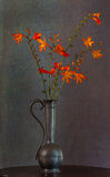 19 Points - Montbretia In A Pewter Vase - Chris Pateman