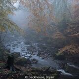 19 Points HC - Autumn Scene - Bryan Backhouse