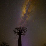 19 Points HC - African Night Sky - Chris Pateman