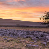 Score 20 - "Dawn In The Dales" - Matthew Brooks