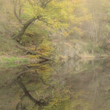 20 Points - Still Water - Bryan Backhouse