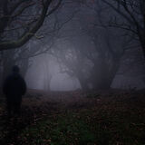 20 Points HC - Through The Dark Wood - Bryan Backhouse