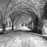 Fountains Abbey Cellarium