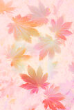 16 Points - Autumn Shades - Bryan Backhouse