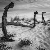 Roger Hitchen