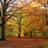 Autumn with figures, Judy woods