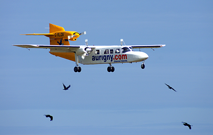 Escorted Home