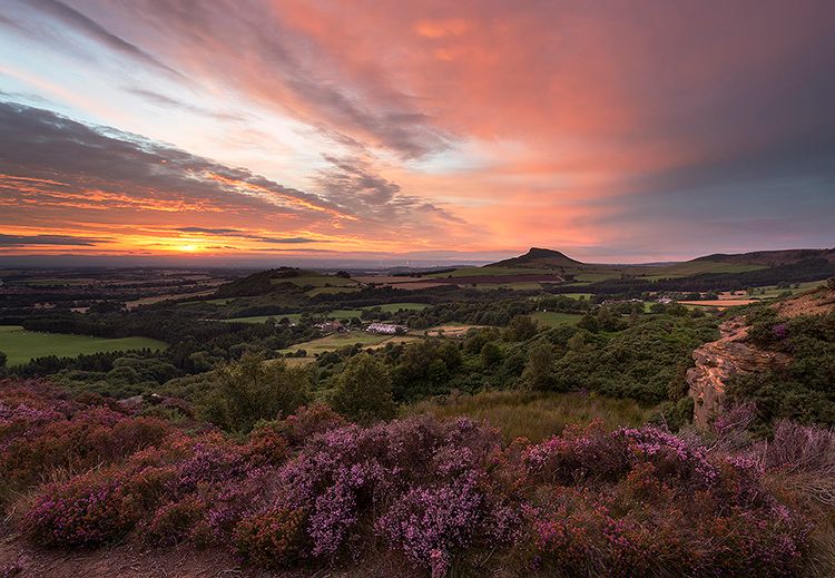 Gribdale Sunset