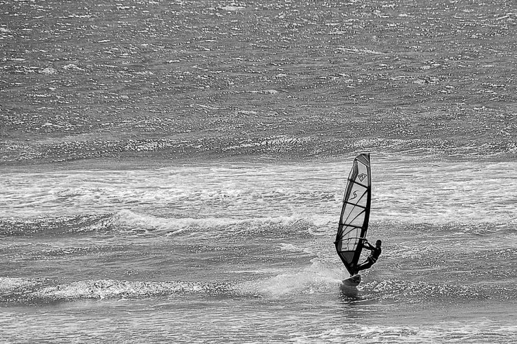 Oregon Surfer