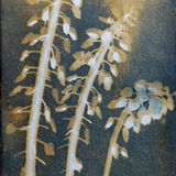 Score 17 - Muscari - Helen Smith