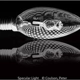Score 17 - Specular Light - Peter Coulson