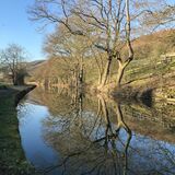 Score 18 - Commended - Canal Reflections - John Butterfield