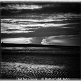 Score 18 - Commended - Out For A Walk - John Butterfield