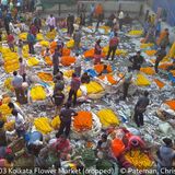 Score 18 - Kolkata Flower Market - Chris Pateman