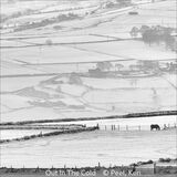 Score 19 - Commended - Out In The Cold - Ken Peel