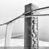 Score 20 - 3rd Place - Ice Crystals On The Fence - Mike Bentley