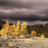 The Last Ray Of Sun Before The Storm