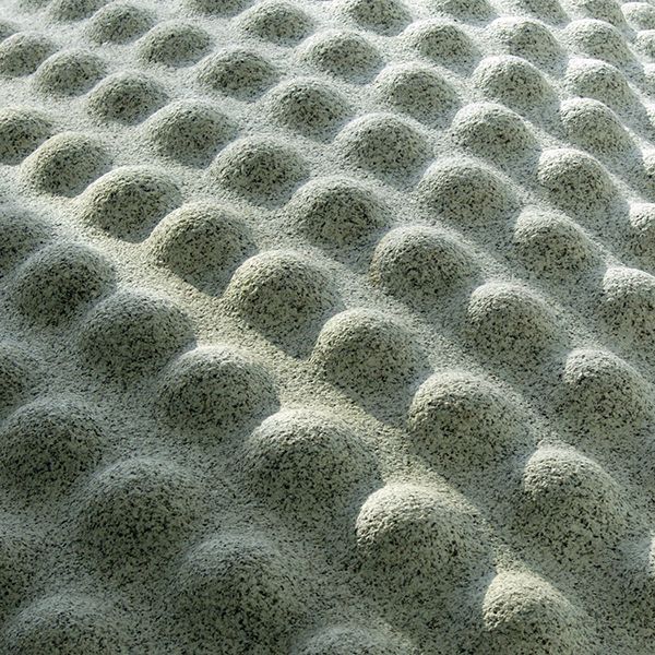 The Seed