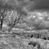 Top Withens - Howarth