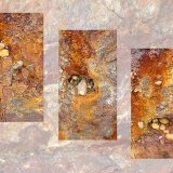 Trapped In Rusty Piles