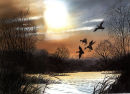 Night flight landing Mixed Media