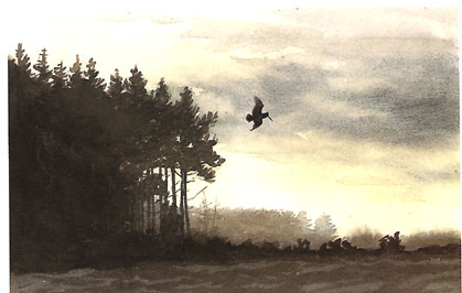 Evening flight of the Woodcock.<br>
Watercolour