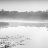 A Boat in the Mist