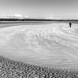 Beach Walker