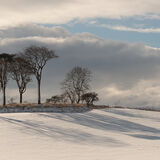 Casting their shadows on the Snow