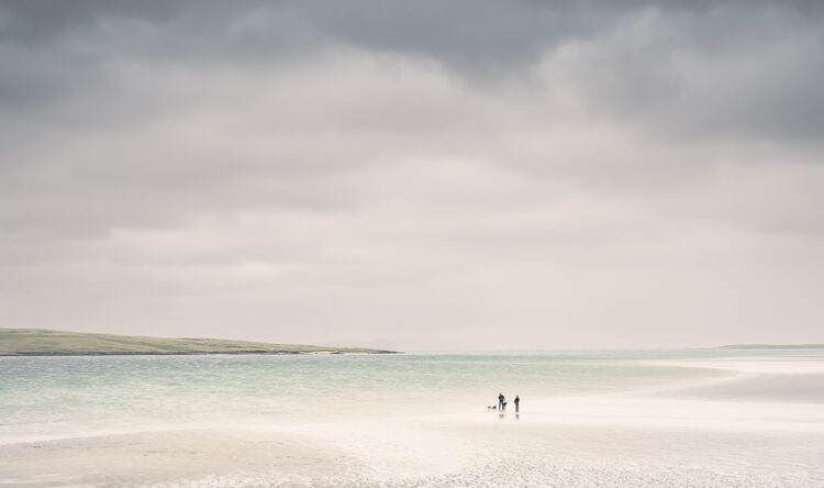 Clachan Sands Dog Walkers