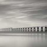 Into the Mist