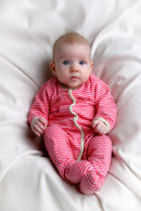 Baby *Daze* Portrait Service in Sheffield