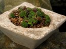 Hypertufa planter, Hypertufa Plant pot, Etsy, PJCreationCraft.