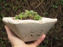 Hypertufa planter, Hypertufa Plant pot, Etsy, PJCreationCraft.